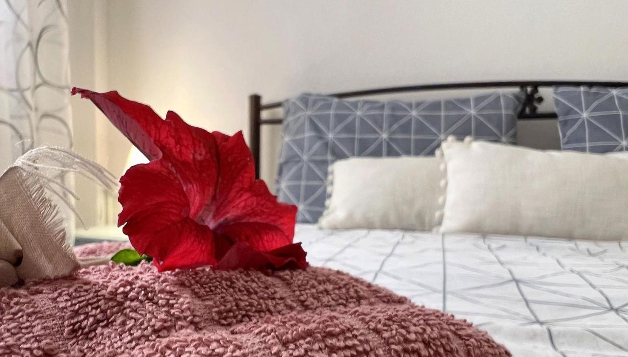 Casa Di Mare Apartment Corfu  Ngoại thất bức ảnh