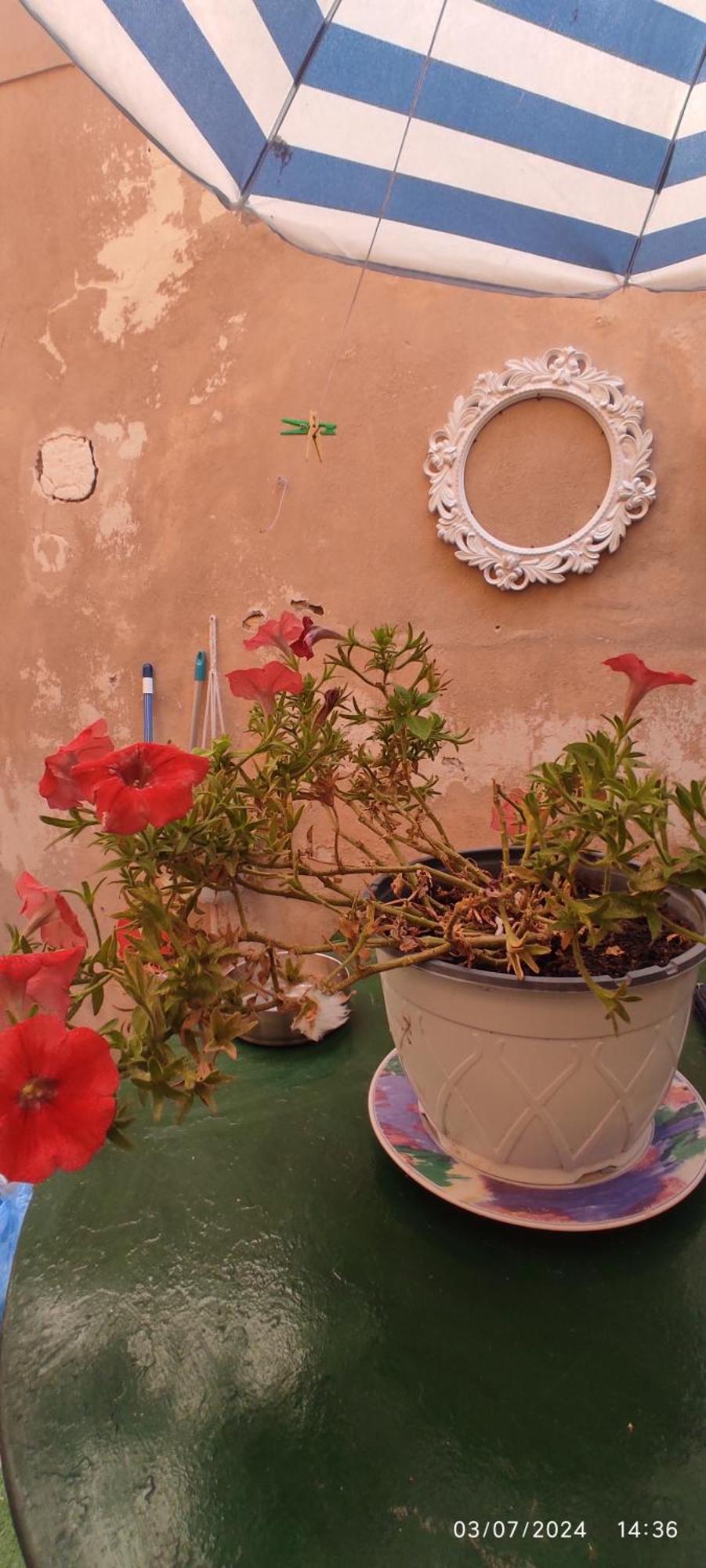 Casa Di Mare Apartment Corfu  Ngoại thất bức ảnh